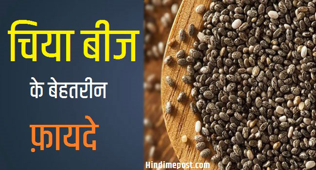 chia seed in hindi