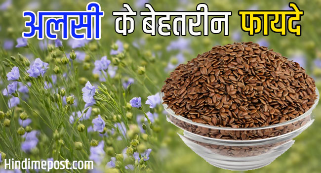 flaxseed meaning in hindi