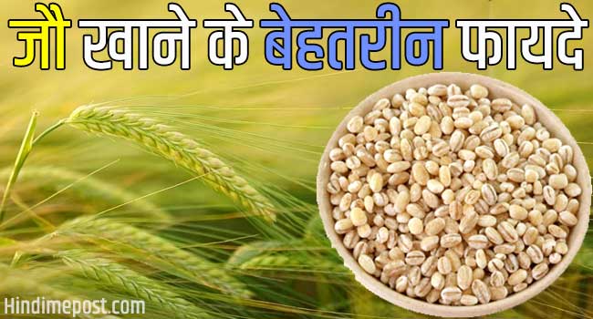 barley meaning in hindi