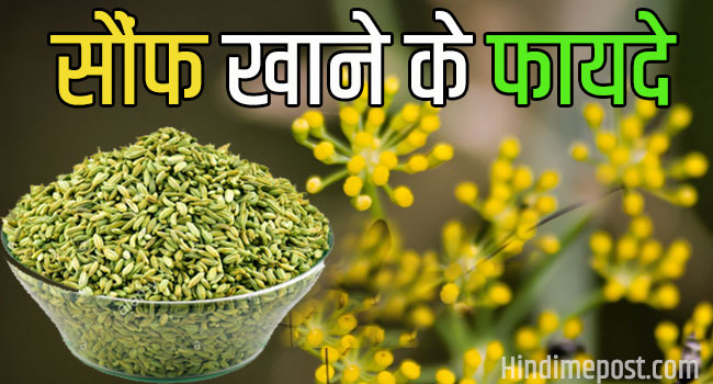 fennel seeds meaning in hindi
