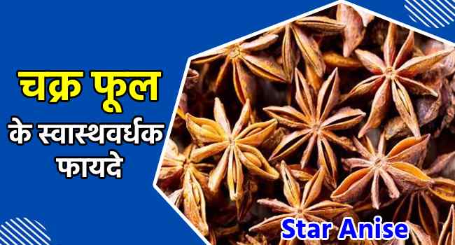 star anise in hindi